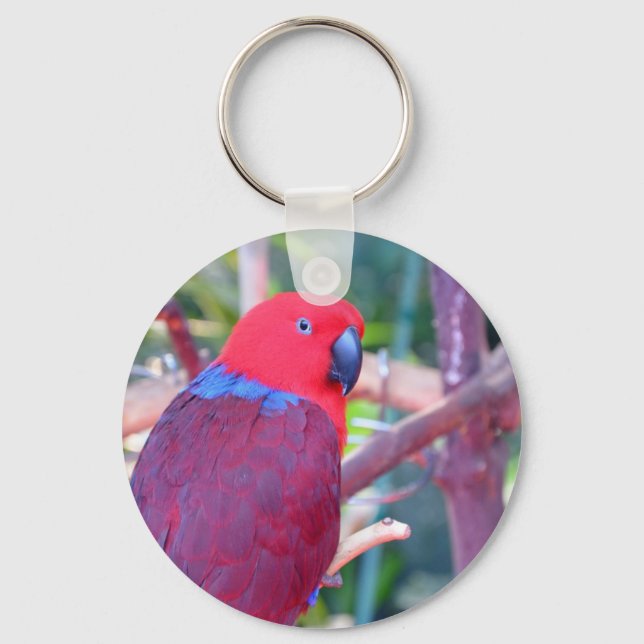 Colourful eclectus parrot key ring (Front)
