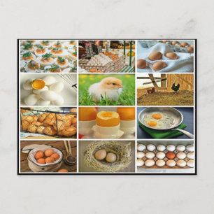 Colourful egg chicken prouct collage postcard