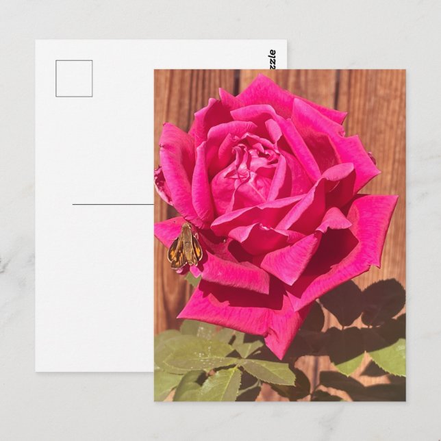 Colourful Elegant Pink Floral Pink Flower Postcard (Front/Back)