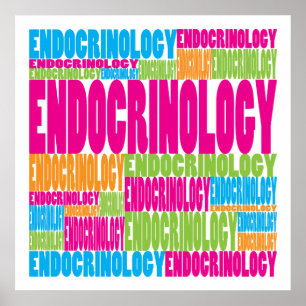 Colourful Endocrinology Poster