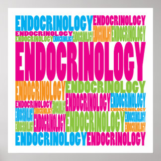 Colourful Endocrinology Poster