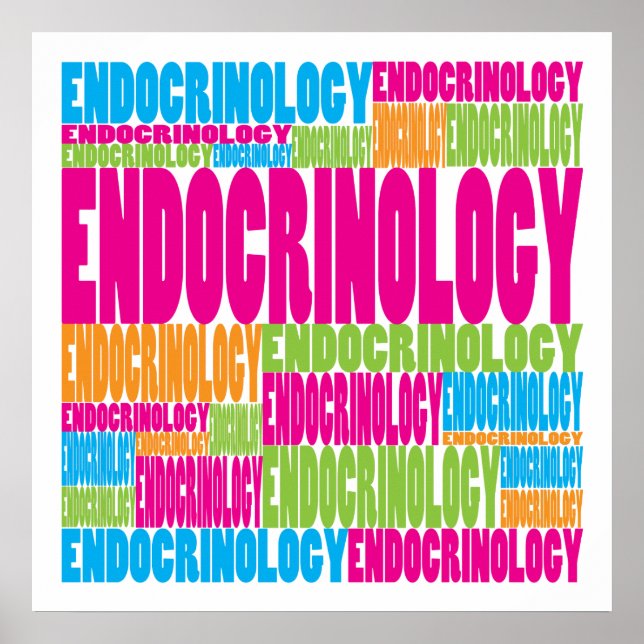Colourful Endocrinology Poster (Front)