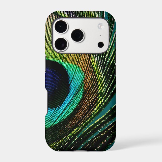 Colourful Exotic Peacock Feather Modern (Back)