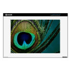 Colourful Exotic Peacock Feather Modern