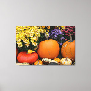 Colourful fall decorative pumpkin display canvas print