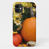 Colourful fall decorative pumpkin display