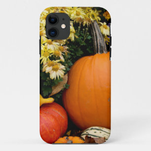 Colourful fall decorative pumpkin display iPhone 11 case