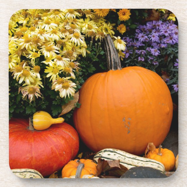 Colourful fall decorative pumpkin display coaster (Front)