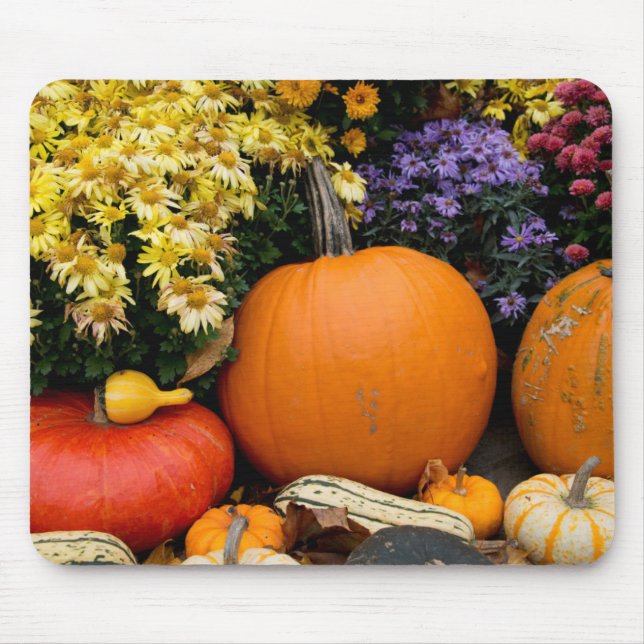 Colourful fall decorative pumpkin display mouse mat (Front)