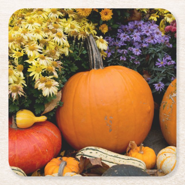 Colourful fall decorative pumpkin display square paper coaster (Front)