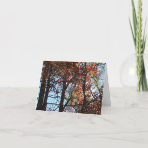 Colourful Fall Forest Note Card