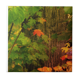 Colourful fall leaf tile