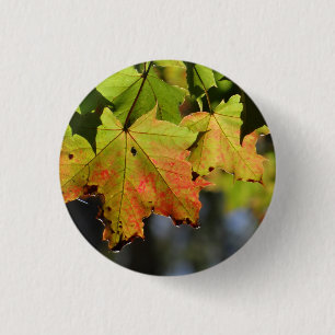 Colourful fall leaves 3 cm round badge
