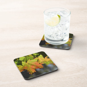Colourful fall leaves coaster