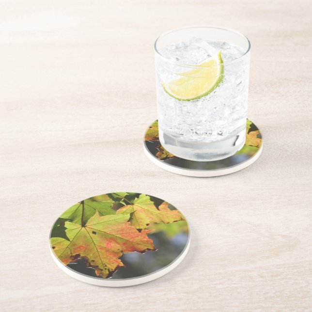 Colourful fall leaves coaster (Side)