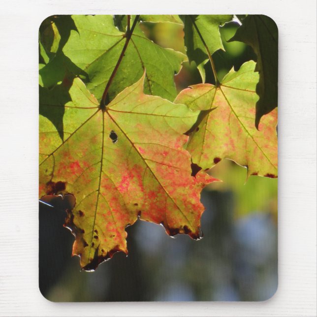 Colourful fall leaves mouse mat (Front)