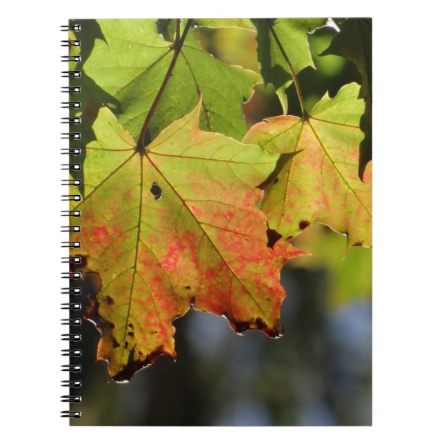 Colourful fall leaves notebook (Front)