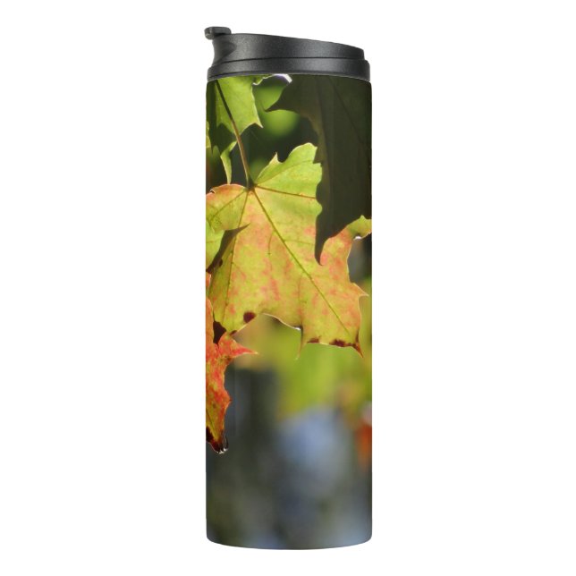 Colourful fall leaves thermal tumbler (Rotated Right)