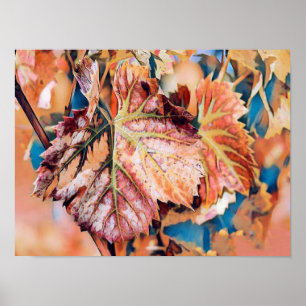 Colourful Fall leaves with fall colours watercolor Poster