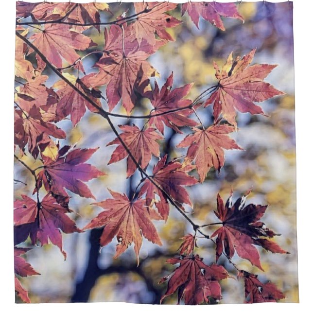 Colourful Fall leaves with fall colours watercolor Shower Curtain (Front)