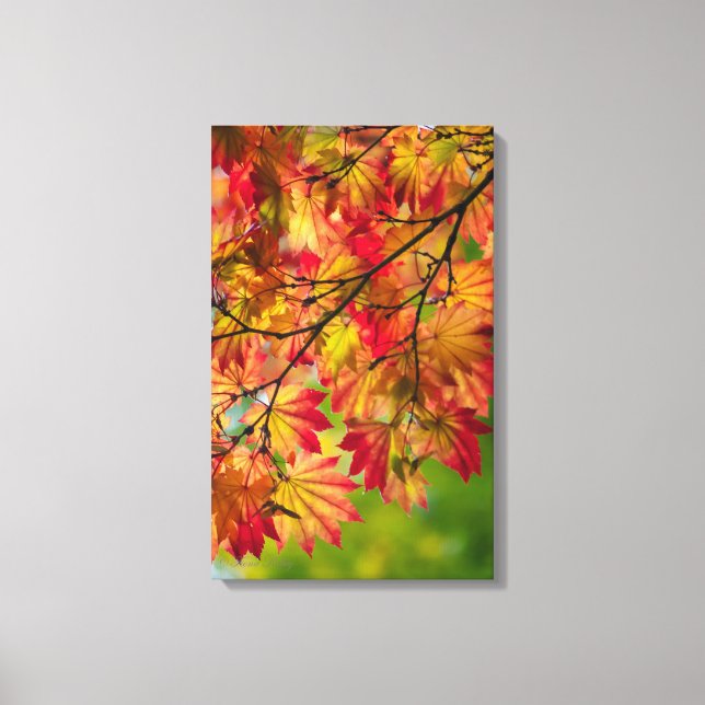 Colourful Fall Leaves Wrapped Canvas (Front)