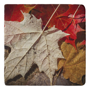 Colourful Fall Maple Leaves Floating Trivet
