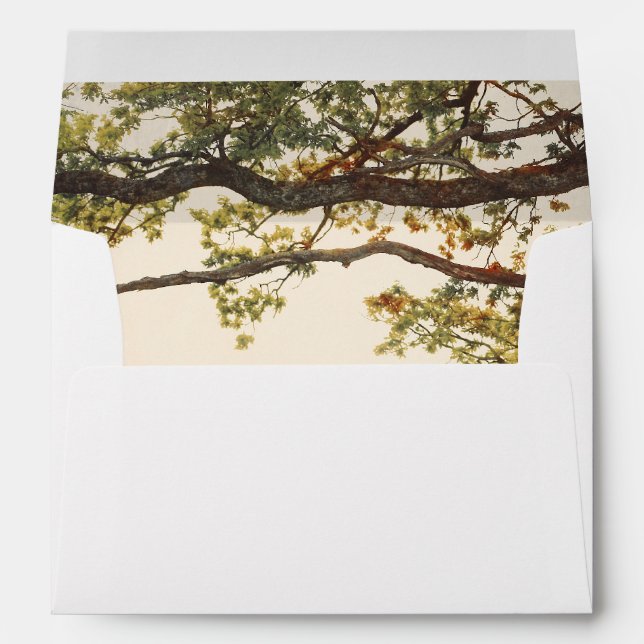 Colourful Fall Tree Leaves and Branches Rustic Envelope (Back (Bottom))