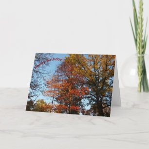 Colourful Fall Trees Happy Birthday Card