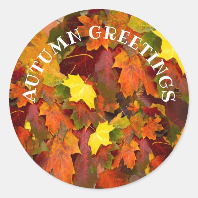 Colourful Fallen leaves, Autumn Greetings Classic Round Sticker (Front)