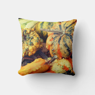Colourful Fancy Gourds Close Up Cushion