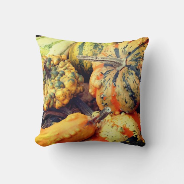 Colourful Fancy Gourds Close Up Cushion (Front)