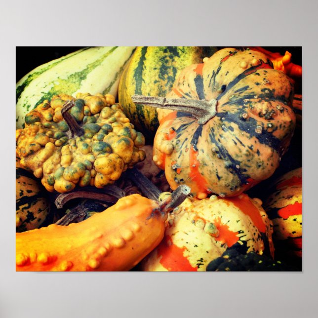 Colourful Fancy Gourds Close Up Poster (Front)