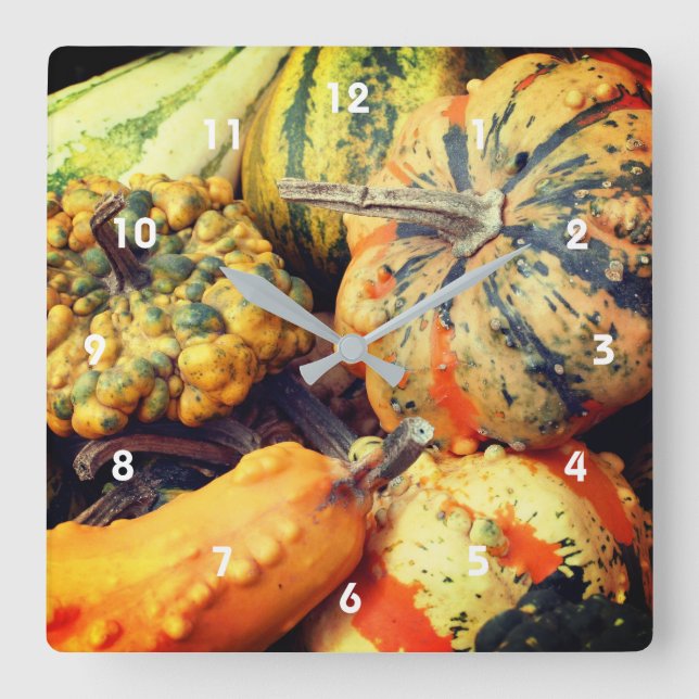 Colourful Fancy Gourds Close Up  Square Wall Clock (Front)