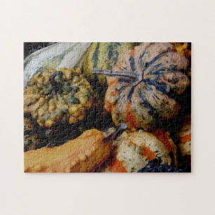 Colourful Fancy Gourds Photo Oil Painting  Jigsaw Puzzle