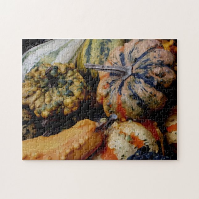 Colourful Fancy Gourds Photo Oil Painting  Jigsaw Puzzle (Horizontal)