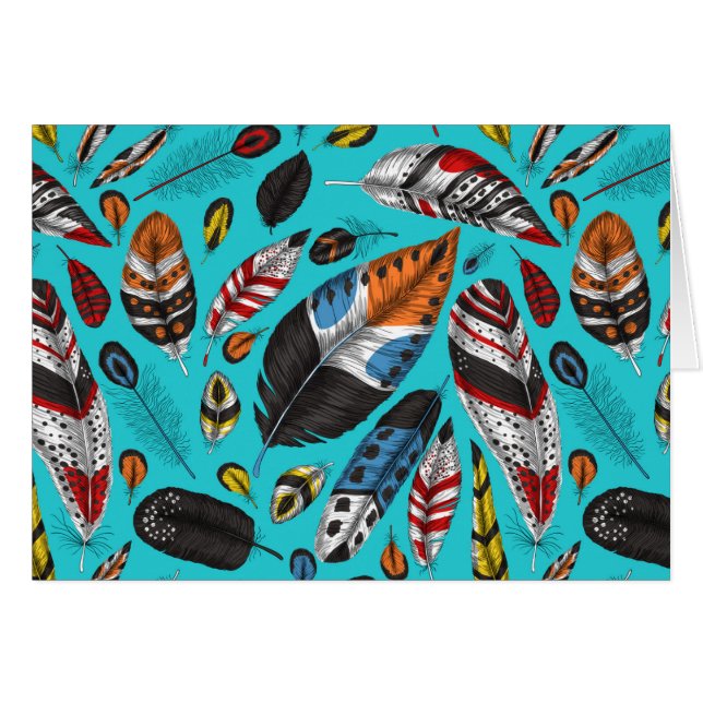 Colourful feathers (Front Horizontal)