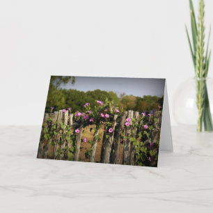 "Colourful Fence" Card