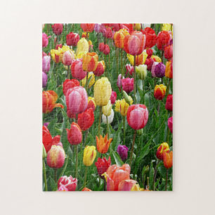 Colourful Field Of Tulips Flowers Jigsaw Puzzle