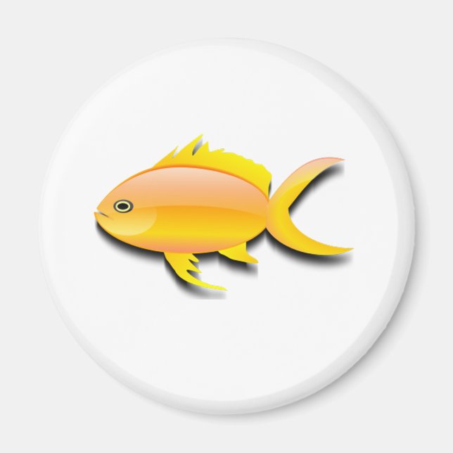 Colourful fish design magnet (Front)