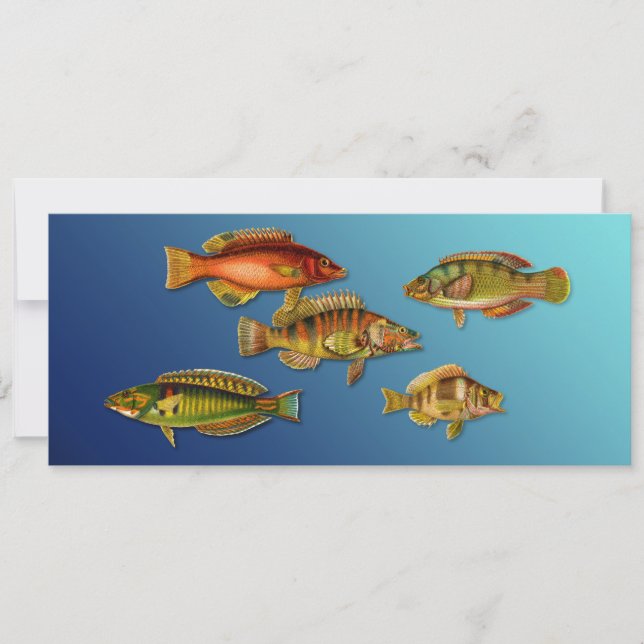 Colourful Fish Invitation (Front)