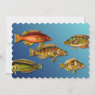 Colourful Fish Invitation