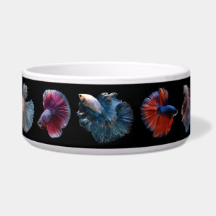Colourful Fish pet bowls