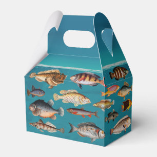 Colourful Fish Under Blue Ocean Water   Favour Box