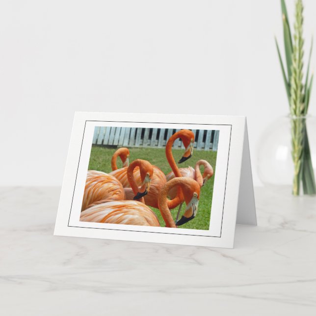 Colourful flamingos greeting card (Front)