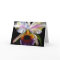 Colourful Floral Greeting Cards