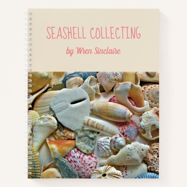Colourful Florida Seashells Personalised Journal (Front)