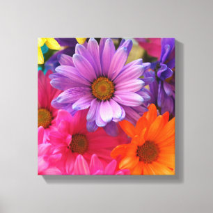 Colourful Flower Daisies Canvas  Single Print