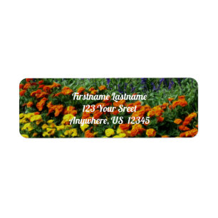 Colourful Flower Garden Oil Photo Painting Address