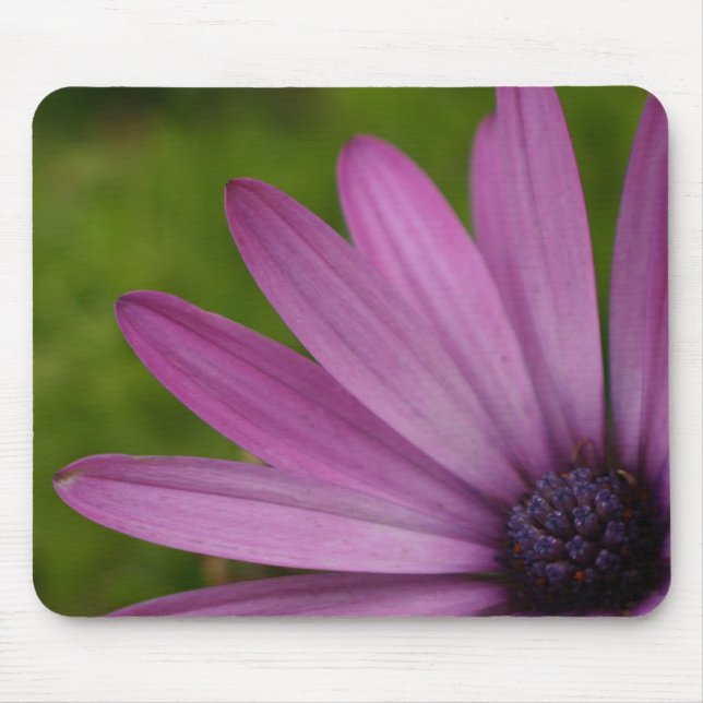 Colourful flower mousepad purple african daisy (Front)