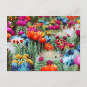 Colourful Flowering Cactus Garden Postcard